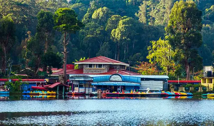 Tour cab service Dindigul