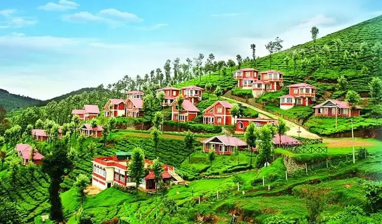 Dindigul taxi cab services